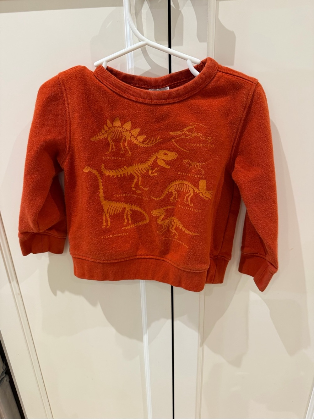 Baby gap 2t Orange Dinosaur Graphic Sweatshirt